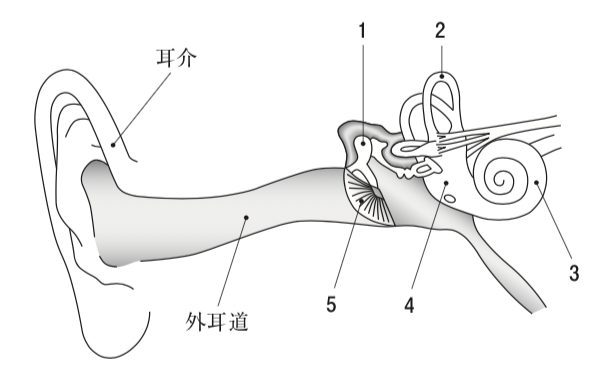 解説画像